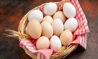 آیا مصرف زرده تخم مرغ در کهنسالی مضر است؟