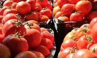 علت افزایش قیمت نجومی گوجه فرنگی چیست؟