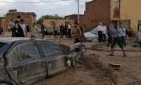 سیلاب در زردینِ یزد  15 خودرو را تخریب کرد