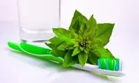 11 خوراکی گیاهی برای آنکه کمتر دندانپزشکی بروید!