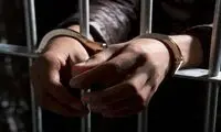  استاد قلابی دستگیر شد