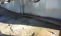  لحظه وحشتناک حمله مار غول پیکر به سمت دوربین