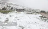  تصاویری از بارش سنگین برف در سوادکوه