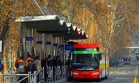 حیوان خانگی عجیب یک خانم در بی آرتی توجه‌برانگیز شد