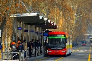 حیوان خانگی عجیب یک خانم در بی آرتی توجه‌برانگیز شد