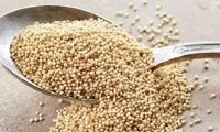 این دانه برای کاهش وزن معجزه می‌کند