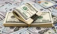 واکنش عجیب نرخ دلار به نتیجه انتخابات