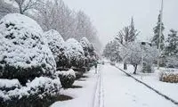 سرمای زمستان بازگشت!