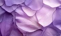 رنگ بنفش از نظر روانشناسی به چه معناست؟