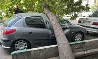 اتفاق وحشتناک برای ۲۰۶ در خیابان شریعتی