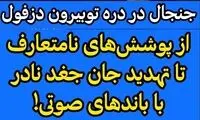 تصاویر منتشر شده از یک تور گردشگری خبرساز شد