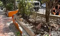 وقتی راه‌حل مشکلات اقتصادی به کافه‌ها و خیابان‌ها می‌رسد!