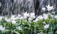 مردم این استان‌ها چترهای خود را آماده کنند