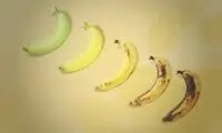 همۀ آنچه باید دربارۀ «رنگ موز» بدانیم