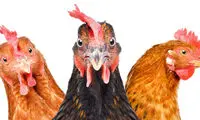 انقلابی غیرمنتظره در انرژی پاک