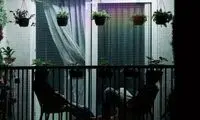 ارسال یک پیامک به ایرانی‌ها، رازهای زیادی را فاش کرد!