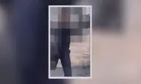 بازداشت مرد مهاجم به خودروی یک زن در خیابان