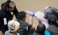نجات دلفین صورتی و بچه‌اش پس از وقوع سیل
