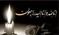 شهرام حقیقت‌دوست عزادار شد