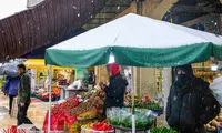 زیبایی و هیاهو در سردترین روز پائیزی تهران 