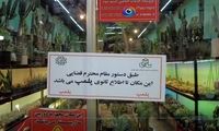 پلمب واحدهای متخلف بازار گل شهید ستاری