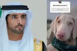 ابتکار جالب ولیعهد دبی برای نام‌گذاری سگ خانگی‌اش