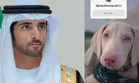 ابتکار جالب ولیعهد دبی برای نام‌گذاری سگ خانگی‌اش