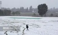 خوشحالی جالب مردم آفریقا بعد از بارش برف