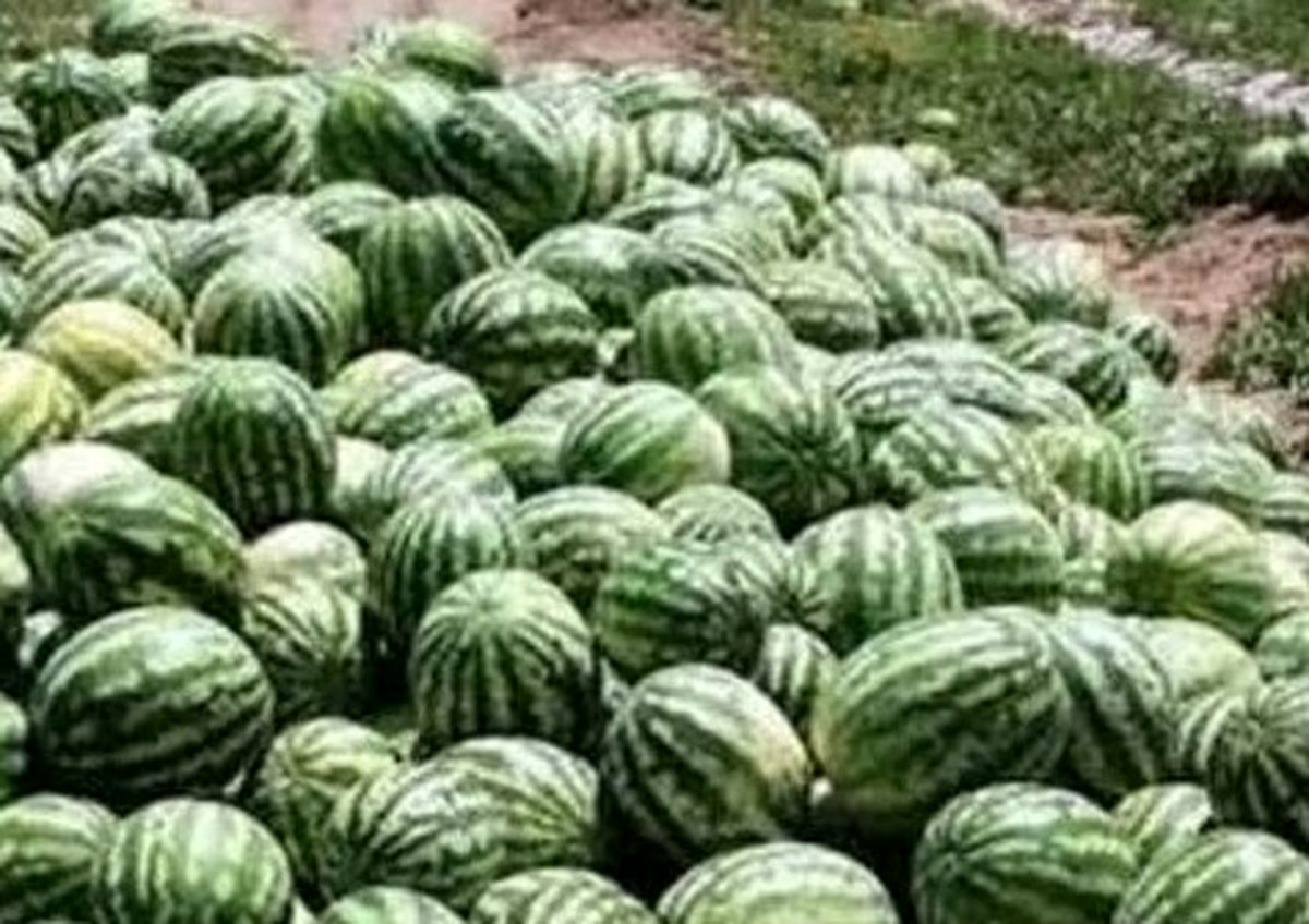 پاسخ مقام ایرانی به ادعای جنجالی نماینده روسیه