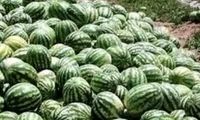 پاسخ مقام ایرانی به ادعای جنجالی نماینده روسیه