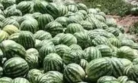 پاسخ مقام ایرانی به ادعای جنجالی نماینده روسیه