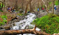 دلبری پارک مشهور تهران در آغاز ماه آخر پاییز