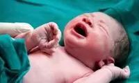 شناسایی و انهدام باند فروش نوزاد در تهران