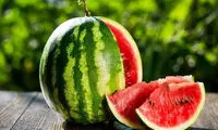 آیا میوه شب یلدا گران می‌شود؟