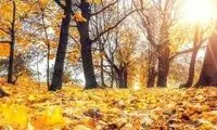 هواشناسی: پاییز خوبی را پیش‌بینی نمی‌کنیم
