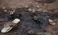 ۱۰۰ کشته بر اثر انفجار یک پالایشگاه نفت در نیجریه