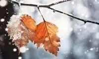 کرجی‌ها از این تاریخ منتظر بارش برف باشند