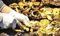 پیدا کردن کوهی از طلا در کنار یک فسیل!