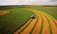 پیشنهاد روسیه به ایران برای کشت فراسرزمینی 