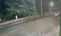 لحظه تکان‌دهنده قتل یک جوان با ۶ شلیک «۱۸+»