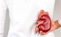 افزایش خطر بیماری کلیه با دو عادت بدِ غذایی