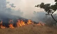 آتش‌سوزی مشکوک و گسترده در مراتع جنگلی ایلام
