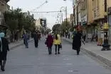 یک نسخه عجیب برای سرسبز کردن استان سمنان!