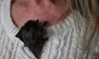 این زن با صدها خفاش در آپارتمانش زندگی می‌کند 