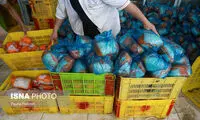 قیمت مرغ اصلاح می‌شود؟