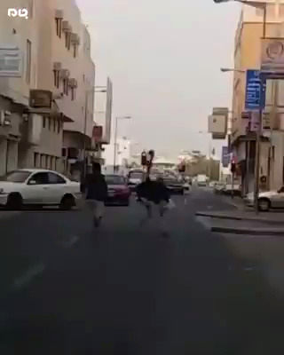 حمله خشن یک شتر مرغ به دو انسان وسط خیابان