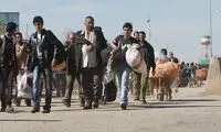 تشکیل سازمانی برای کسب مالیات از اتباع خارجی