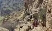 عملیات نفسگیر ۷ ساعته برای نجات چوپان گرفتار در ارتفاع ۲۰۰ متری
