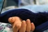 مرگ دختر ۳ساله بر اثر عقرب‌ گزیدگی در قلعه گنج