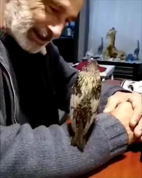 تقلیدصدای شگفت‌انگیز یک پرنده در آغوش یک مرد